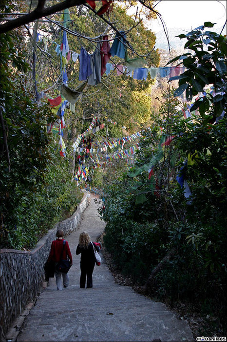 Тропинки под гирляндами флагов. Зона Багмати, Непал