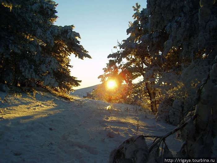 Зимнее утро на Северной Демерджи Республика Крым, Россия