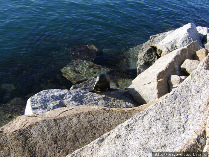 Аделаида: Granite island и окрестности Аделаида, Австралия