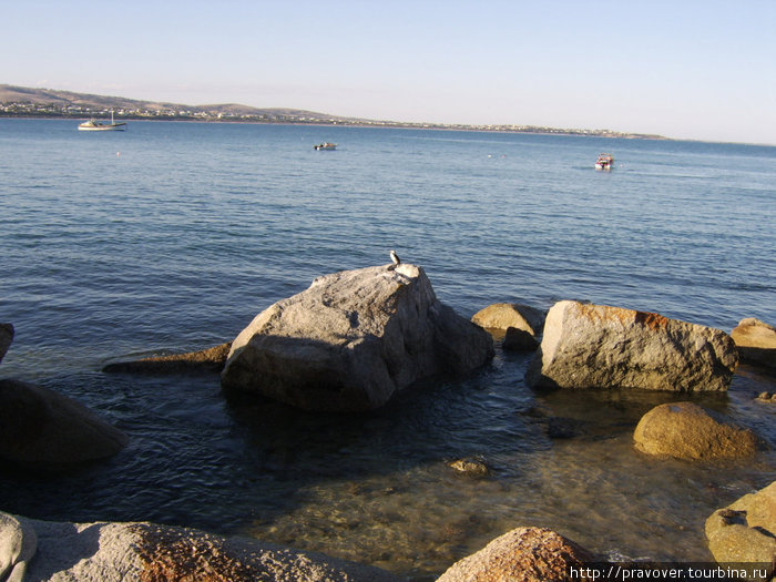 Аделаида: Granite island и окрестности Аделаида, Австралия