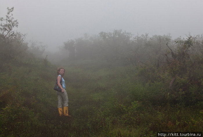 ..и туман. Остров Исабела, Эквадор