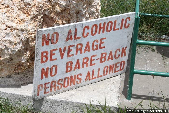 Без алкоголиков Барбадос