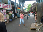 это священный слон, который сейчас благославляет мою маму=))) я не решилась на это=)