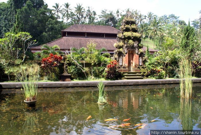 Храм и пруд Убуд, Индонезия