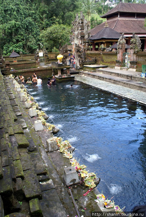 Священный пруд Убуд, Индонезия