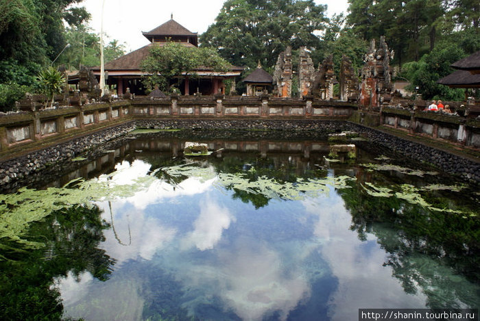 Священный пруд Убуд, Индонезия