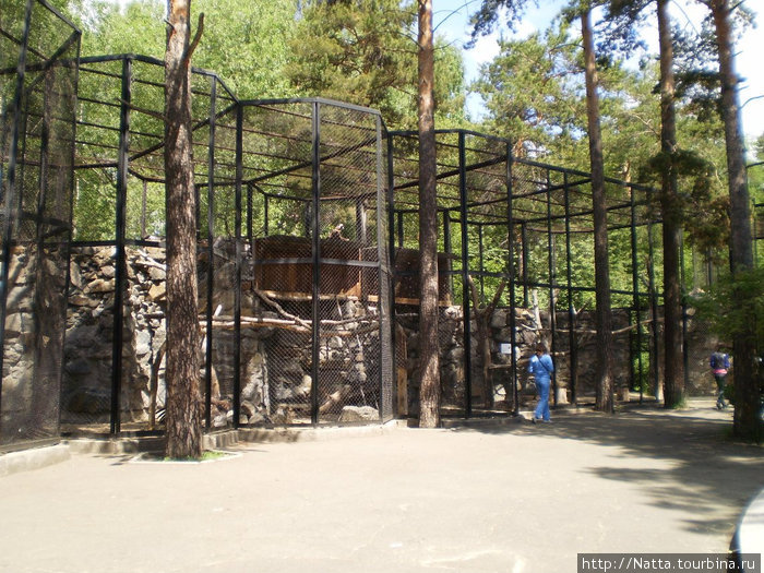 Новосибирский зоопарк в летний день Новосибирск, Россия