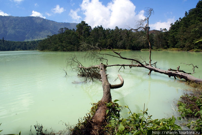 Озеро Телага Варна (Telaga Warna) Тегал, Индонезия