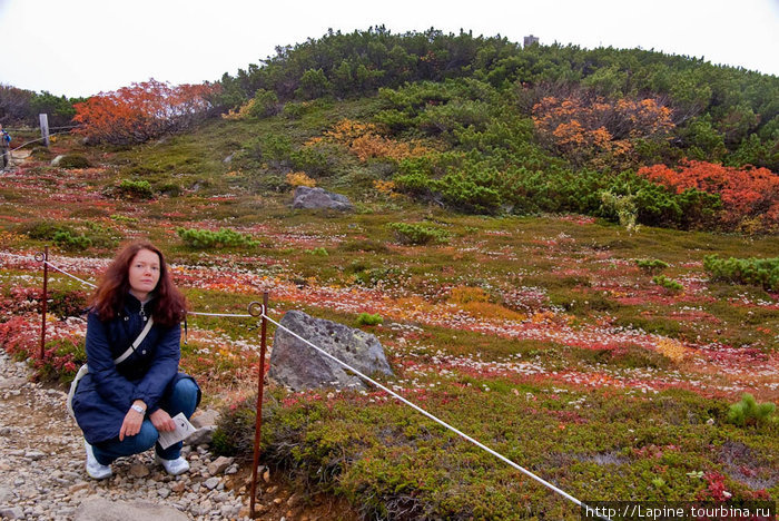 Пребываю в полном обалдении от окружающей красотищи. :-) Национальный парк Дайсецудзан, Япония