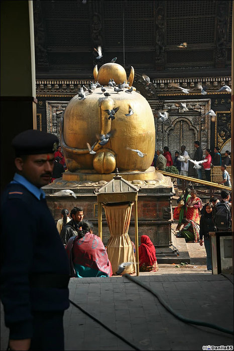 Храм, куда пускают только индуистов. В ЛП сказано, что позолоченное изображение быка Нанди заслоняет собой серебрянные барельефы тонкой работы. Катманду, Непал