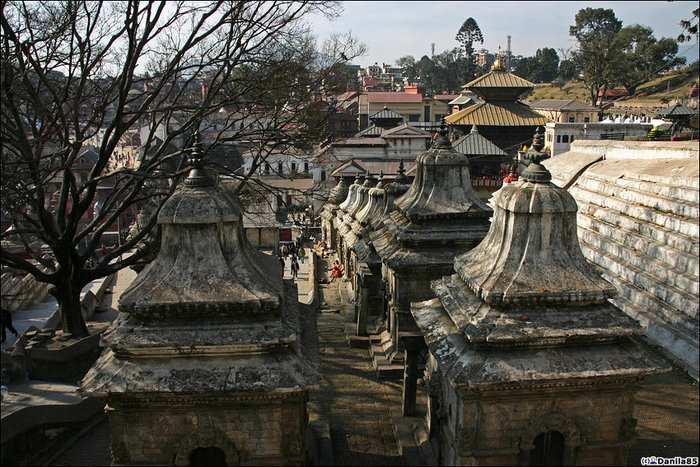 Тут и храмы, и обезьяны, и чувак с рогаткой, который их гоняет, и всякие странные каменные плиты, и место тусовки садху, и парк с оленями и многое другое. Катманду, Непал