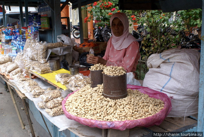 Продавщицы арахиса — как раз новый урожай Букиттинги, Индонезия