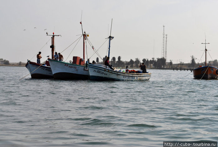 рыбацкие лодки в заливе Острова Бальестас Национальный Резерват, Перу
