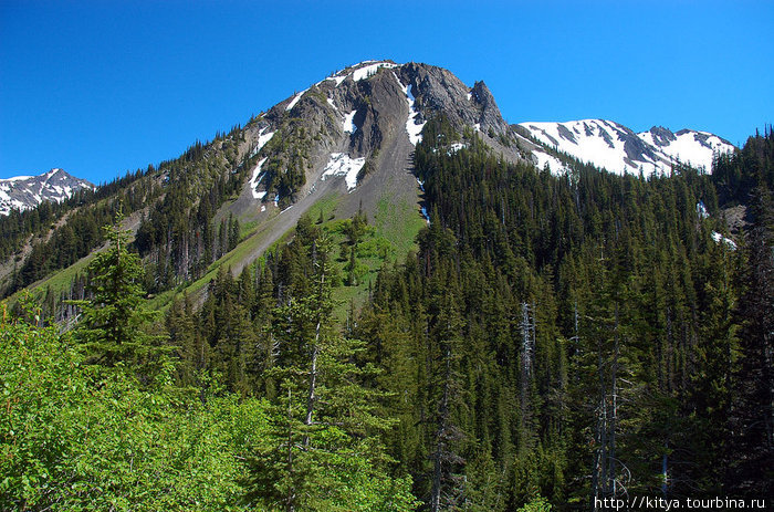 Камп Хэнди Секим, CША