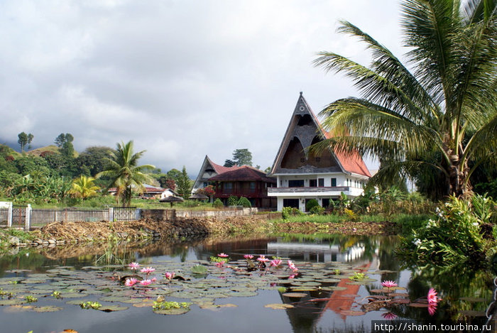 Дом и лотосы Остров Самосир, Индонезия