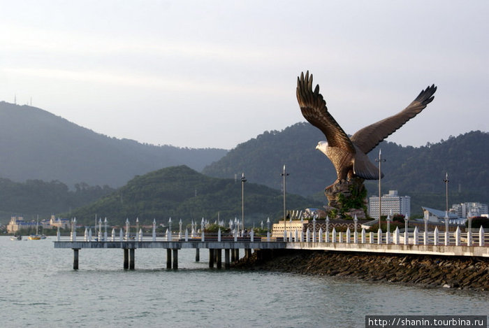 Орел на берегу Лангкави остров, Малайзия