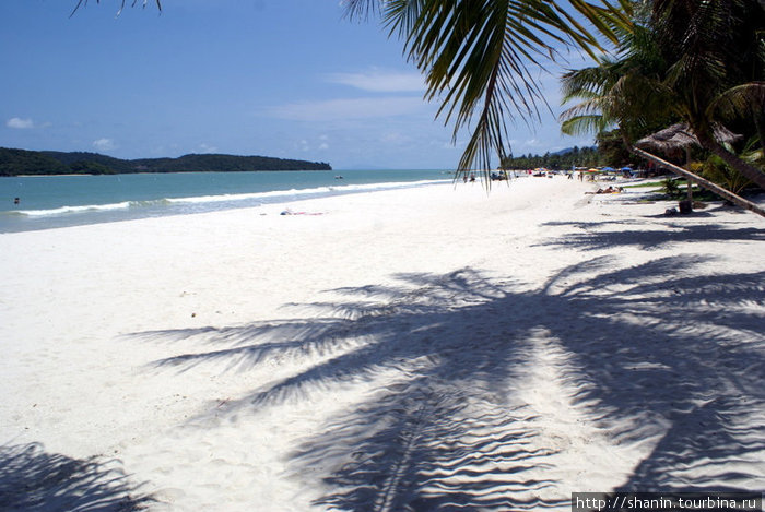Песчаный пляж в тени кокосовых пальм Лангкави остров, Малайзия
