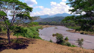 Национальный парк Карара в Коста Рике. 
Карара славится крокодилами и ярко-красными попугаями ара.
Много фотографий из парка на нашем сайте.