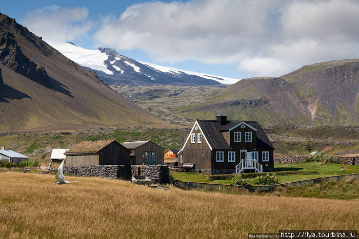 Путевые заметки: Исландия, день 9-й Олафсвик, Исландия