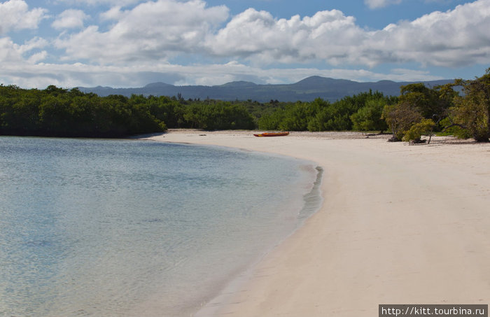 такие разные пляжи Галапагосских островов.