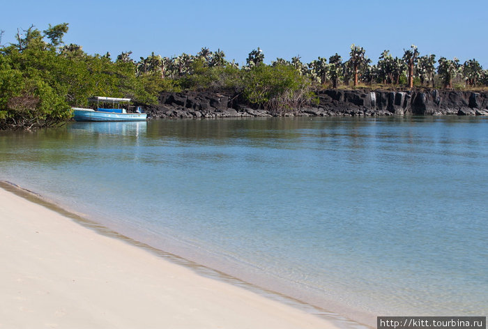 такие разные пляжи Галапагосских островов.