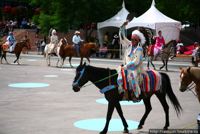 Этот парень был в тёмных очках, но они по цвету гармонировали со сбруей на его лошади;) Банфф, Канада