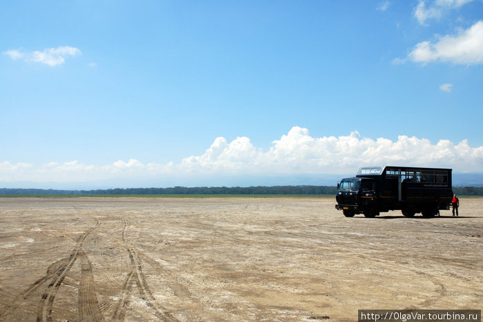 Пыльное озеро Озеро Накуру Национальный Парк, Кения
