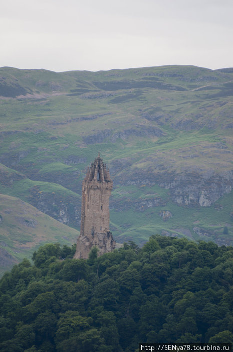 Stirling
Вид на монумент Уоллесу от замка Стерлинга Шотландия, Великобритания