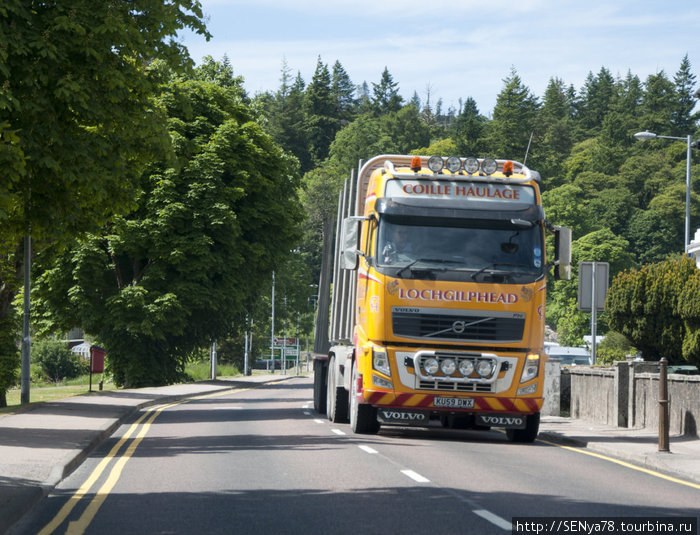 Дорожные зарисовки
Дороги в Шотландии хорошие, но очень уж узкие плюс полное отсутствие обочины. Когда встречались с грузовиком или автобусом, поначалу просто закрывали глаза от испуга )) Шотландия, Великобритания