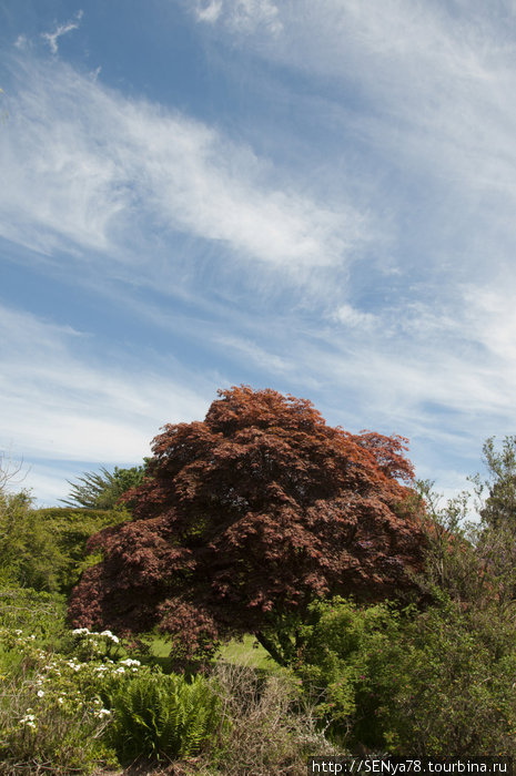 Сад Крэрей (Crarae Garden) Шотландия, Великобритания
