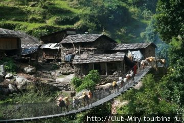 Последнее время, правительство и местные комьюнити пошли на довольно серьёзные расходы и построили целую серию неплохих, достаточно устойчивых подвесных мостов. Непал