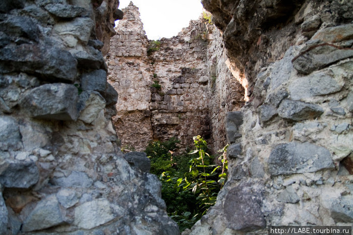 Село Среднее. Замок Тамплиеров 13 век Закарпатская область, Украина