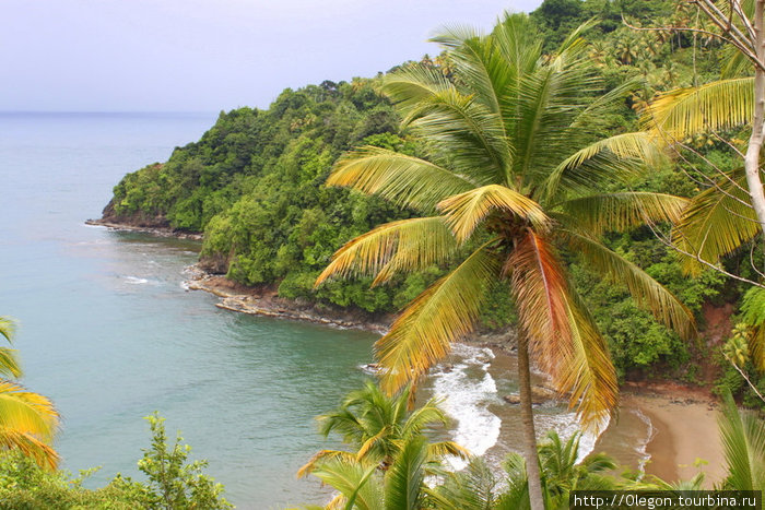Вид на море Доминика