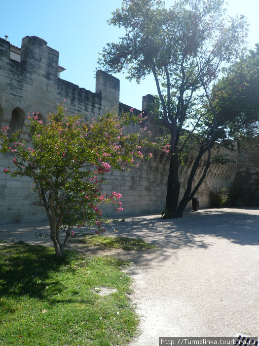 Sur le pont d'Avignon Авиньон, Франция