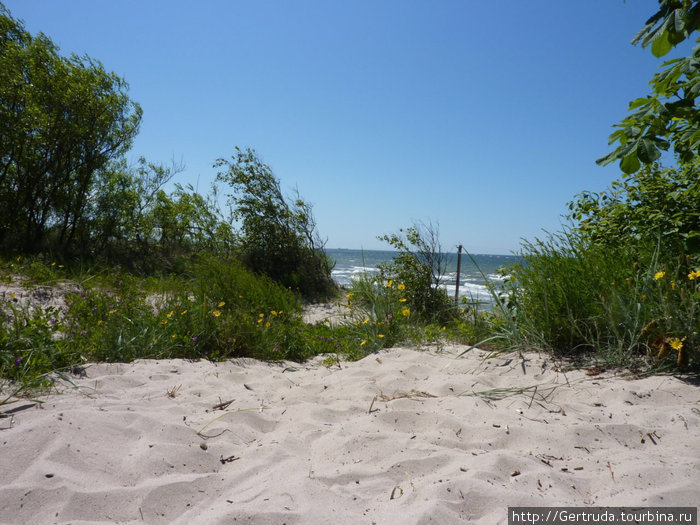 В дюнах в Мельнраге. Море  волнуется. Мельнраге — это пригород с пляжами у  Балтийского моря. Клайпеда, Литва