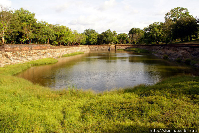 Заросший пруд Анурадхапура, Шри-Ланка