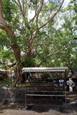 Светильники под священным деревом бодхи