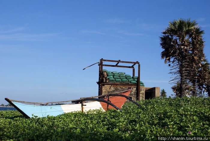 Лодка в траве Тринкомали, Шри-Ланка