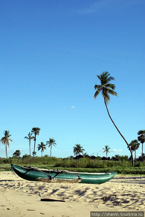 Лодка и пальмы Тринкомали, Шри-Ланка