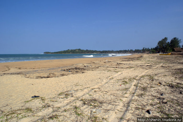 Колея на пляже Аругам, Шри-Ланка