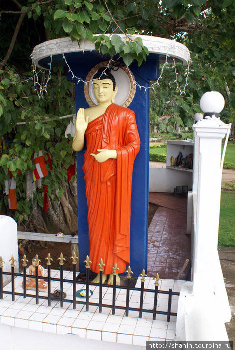 Будда под деревом бодхи Велигама, Шри-Ланка