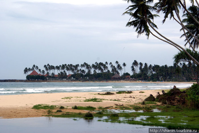 На берегу моря Диквелла, Шри-Ланка