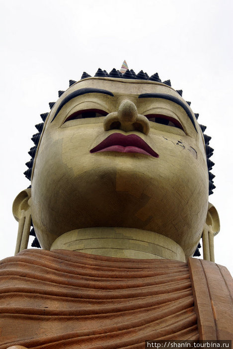 Голова Будды Диквелла, Шри-Ланка