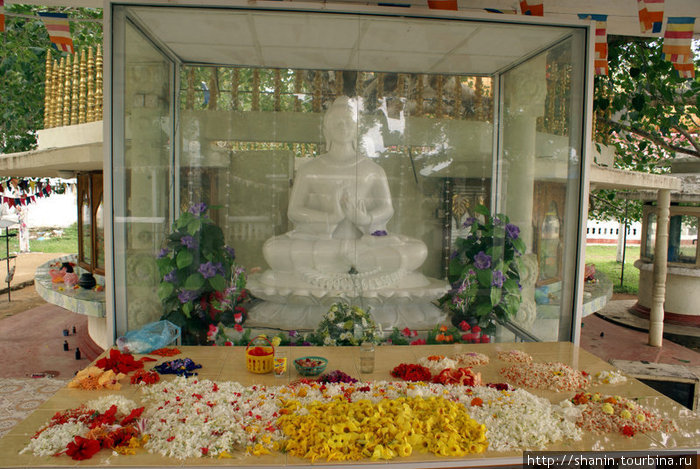 Будда за стеклом Диквелла, Шри-Ланка