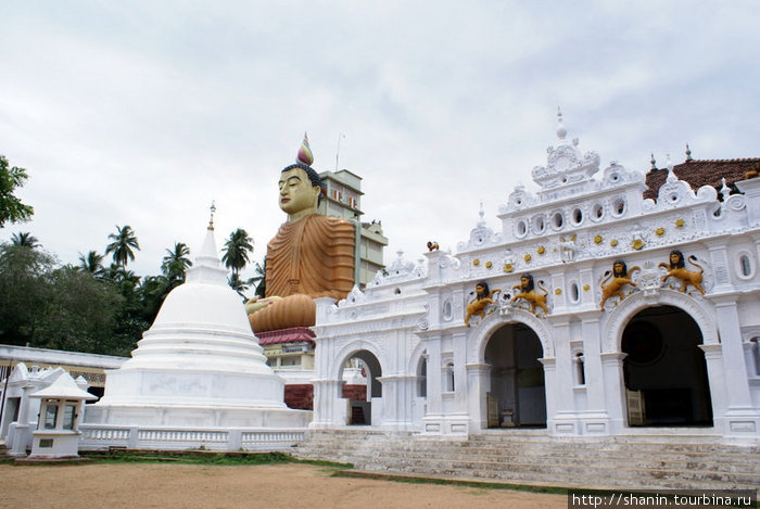 Белый храм и сидящий Будда