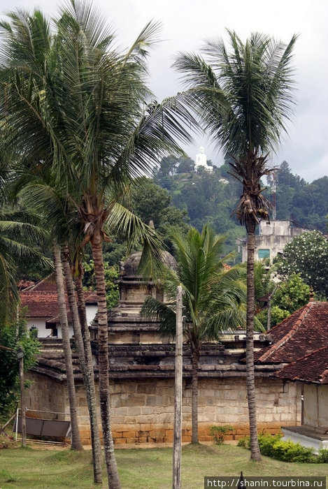 Храм за пальмами Канди, Шри-Ланка