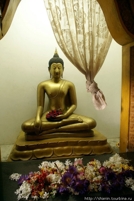 Будда Канди, Шри-Ланка