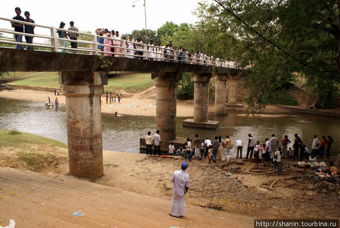 Паломники у моста — в священной реке Катарагама, Шри-Ланка
