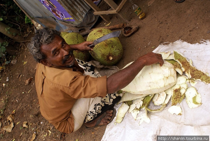 Мужчина с плодом джек-фрут Катарагама, Шри-Ланка