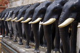 Ряд черных слонов